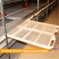 Automatic broiler equipment broiler rearing cage for growing broiler